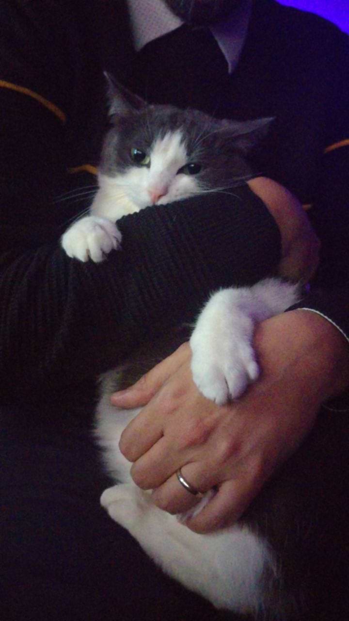 Laura Earline avatar