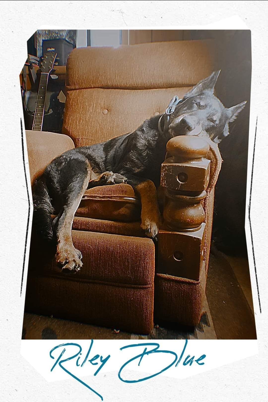 AmeJade Designs avatar