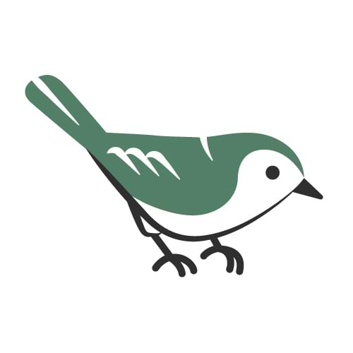 Caitlin Rausch avatar