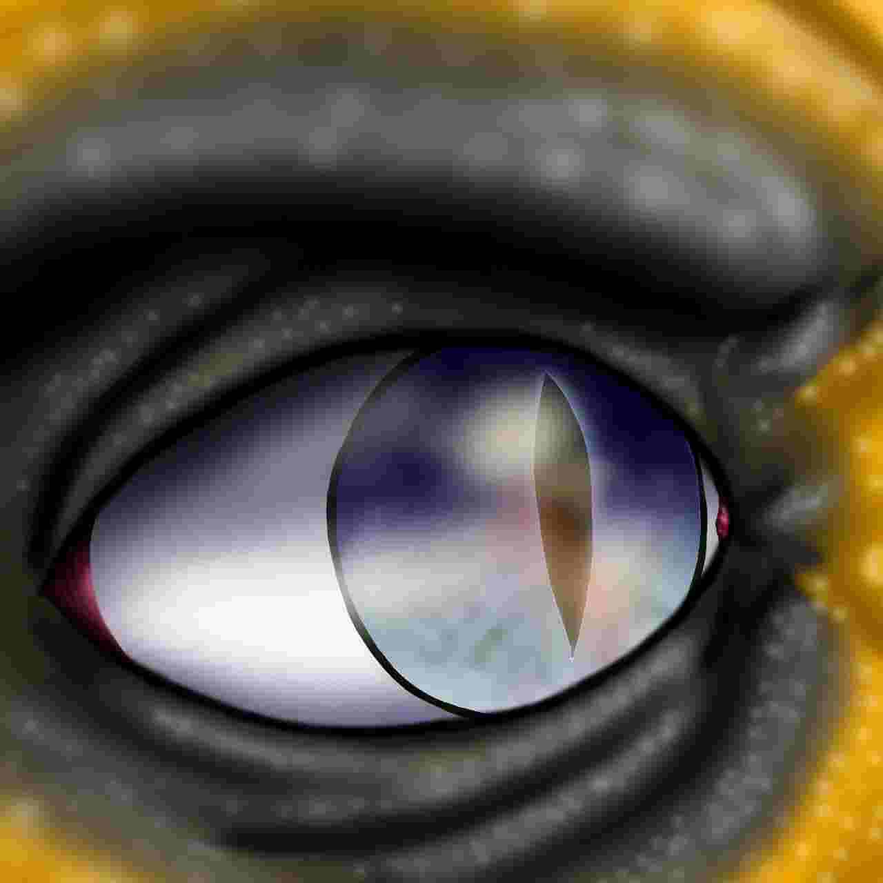 Dragon Warrior Artist avatar