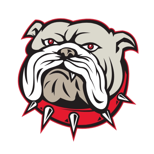 Nourelhouda Abdellaoui avatar