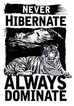 el riyadl additional