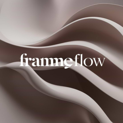 Frame Flow avatar