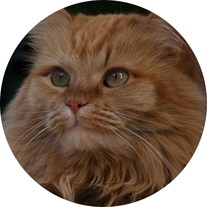 Redmaneye Photography avatar