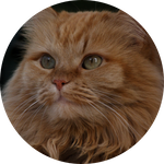 Redmaneye Photography