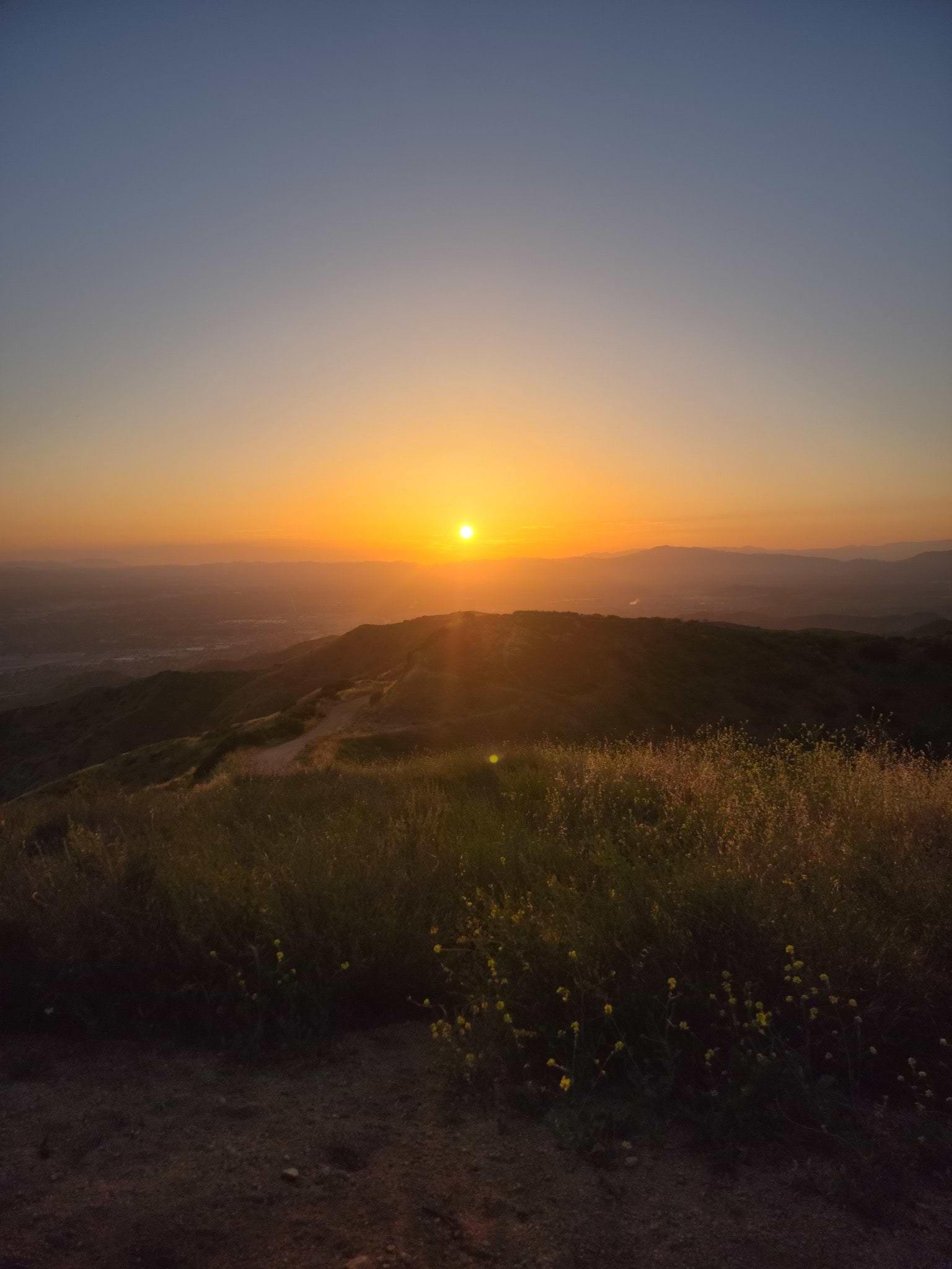 Diego Ramirez avatar