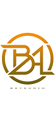 Bay Audio