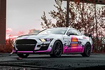 Vine Cars