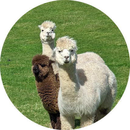 Toby Richards avatar