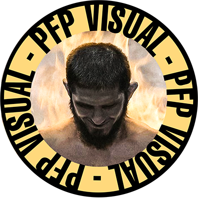 pfpvisual avatar