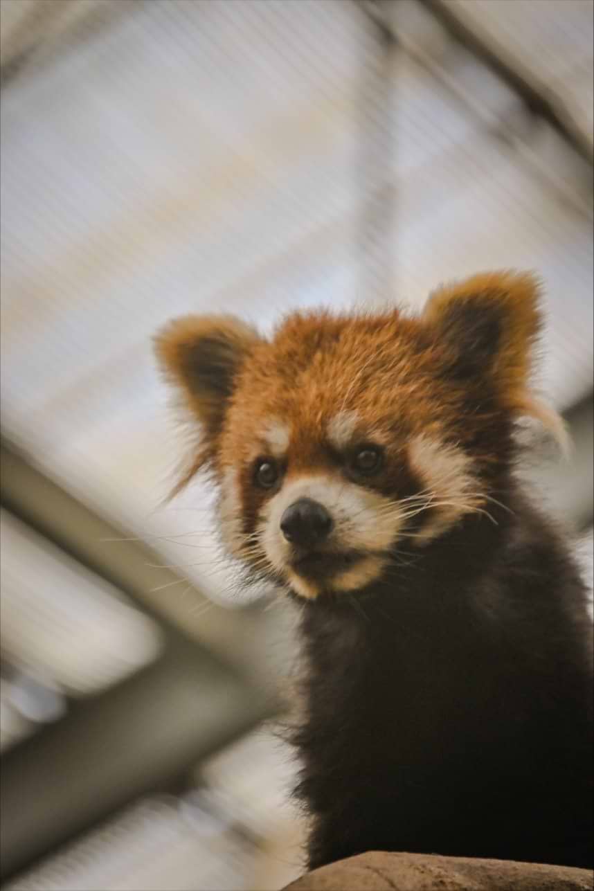 Aidan Phillips avatar