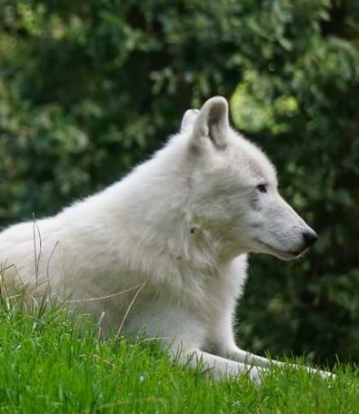 Fabian Noname avatar