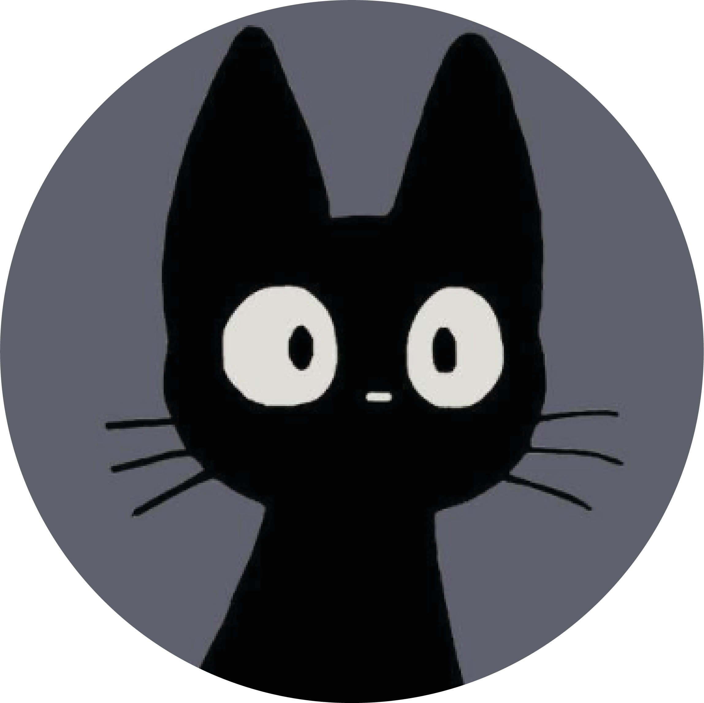 Thomas FARAÜS avatar