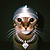 Monny Cat