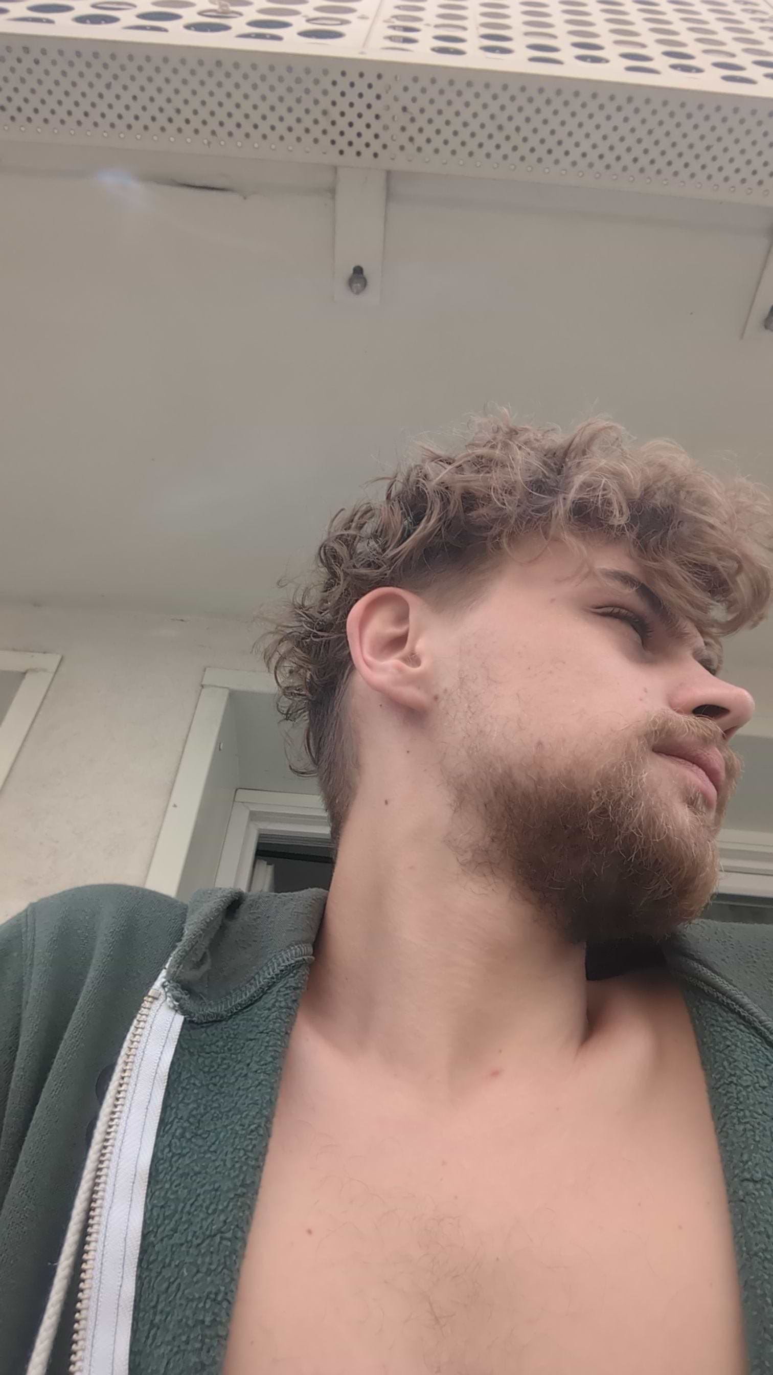 Alexandre Renard avatar