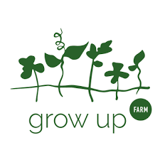 Johannes Dyrholm Jørgensen avatar