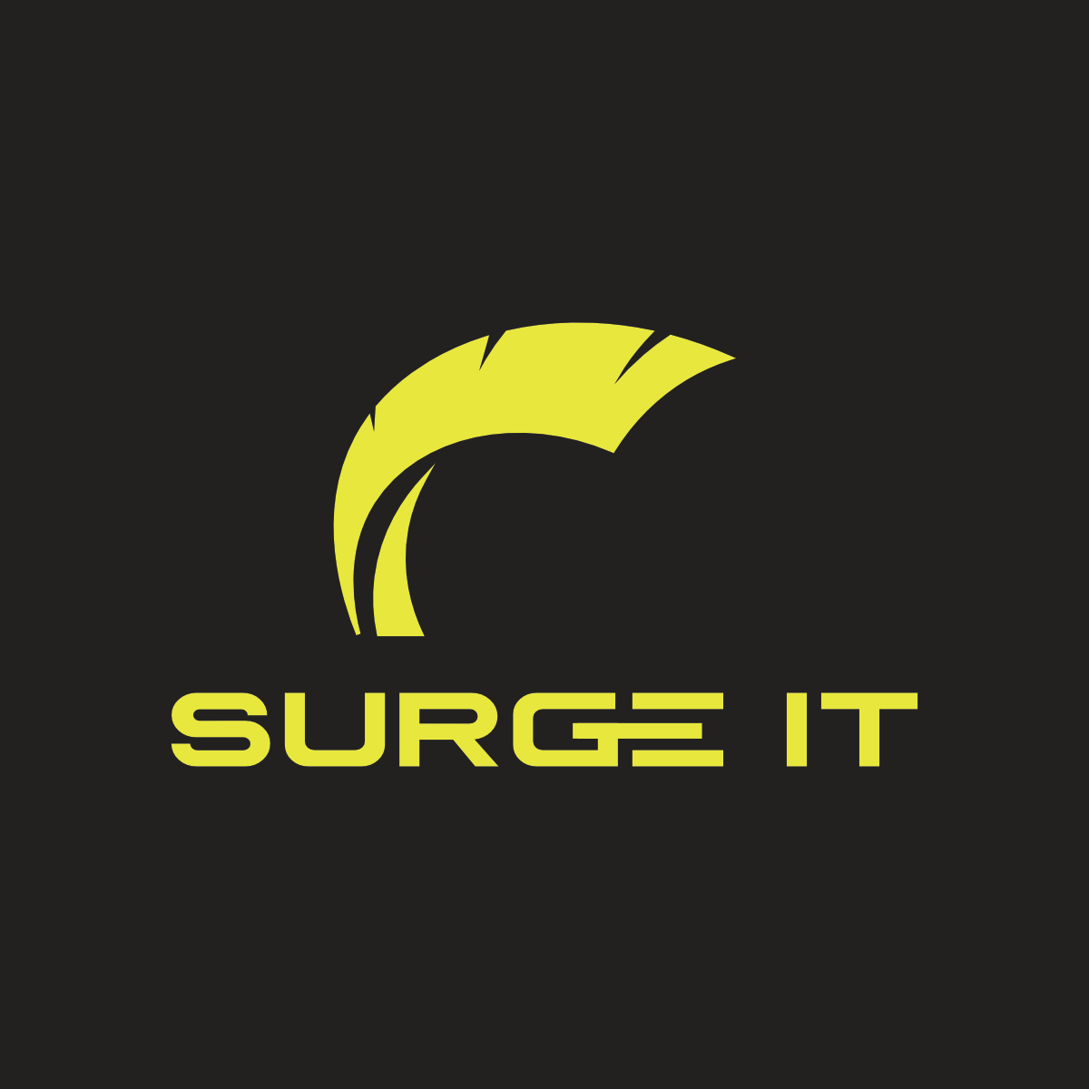 Surge IT avatar