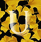 Uniex Art