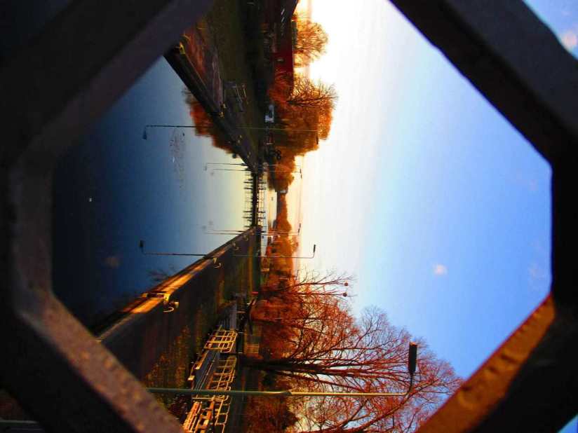 SunsetWarrior avatar