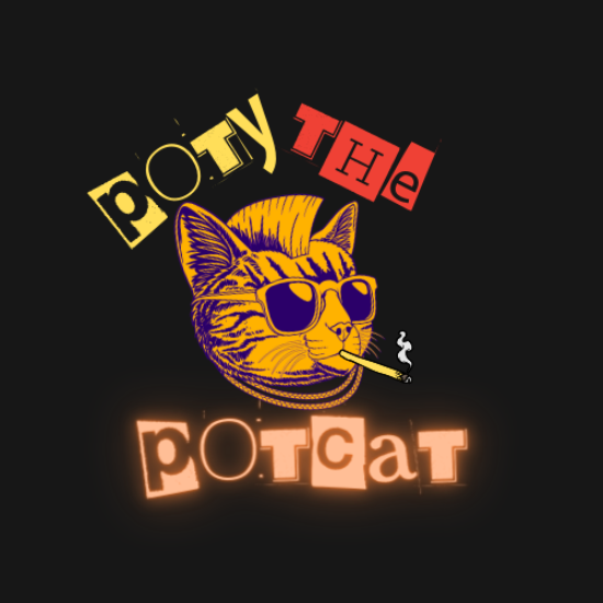 poty the potcat avatar