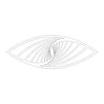 Raktane_vision avatar