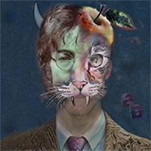 Leon Bohnenberger avatar