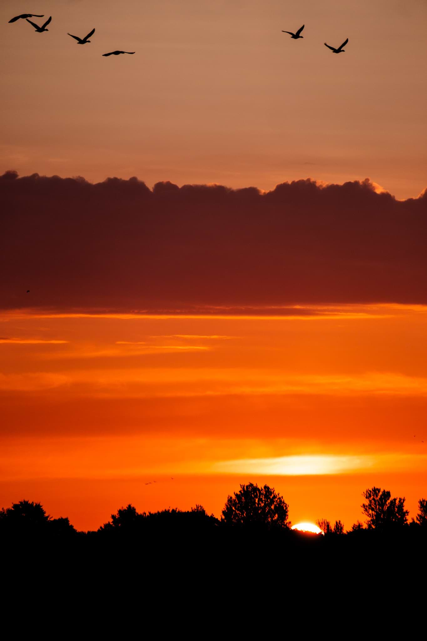 Albrecht Hoesel avatar