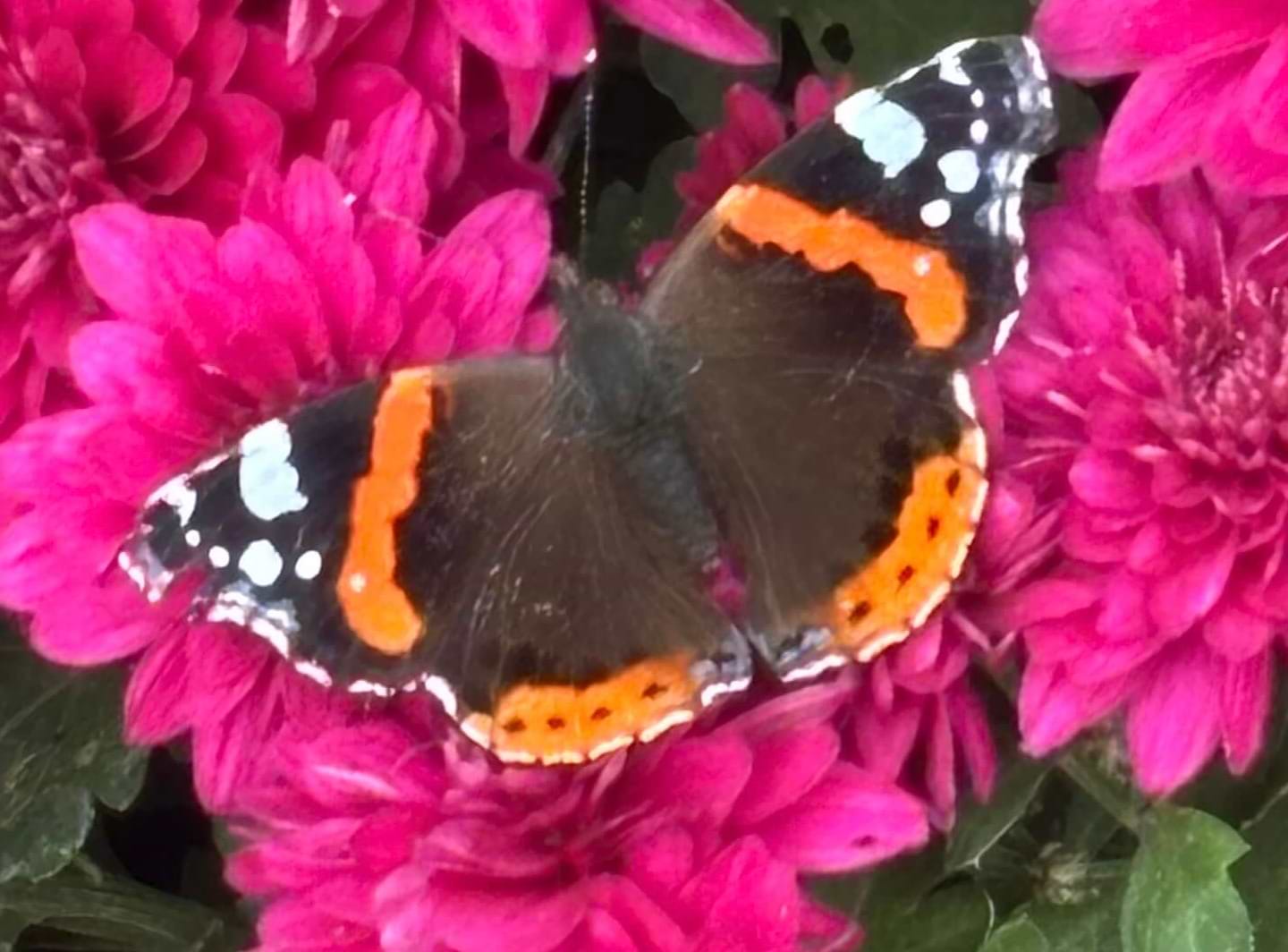 Yuna Moon Art avatar