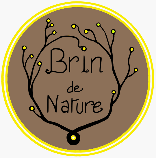 BrindeNature avatar