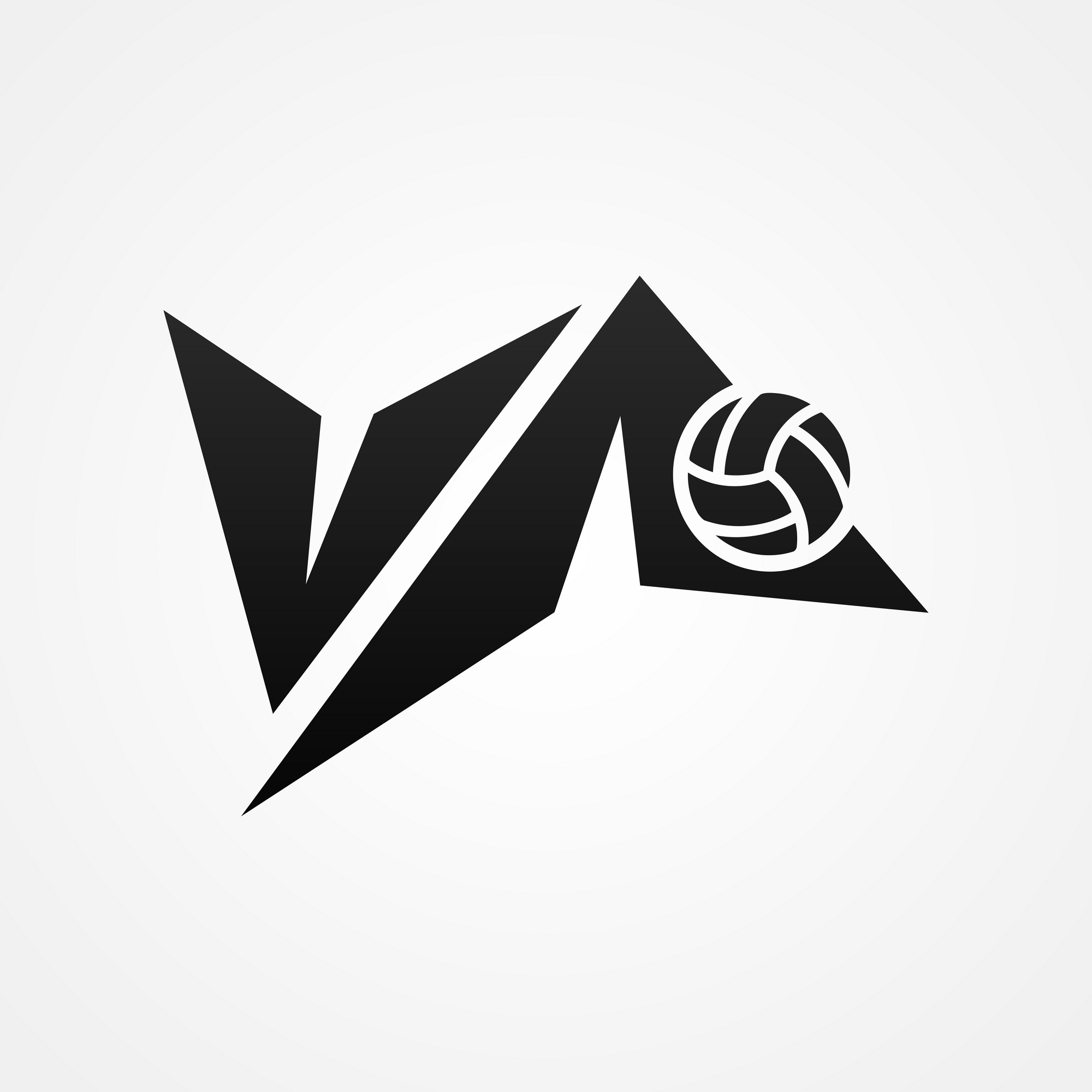 volleyballmastery23 avatar