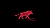NOCTURNAL ANIMALS