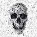 Zieck Graphic