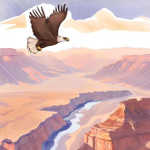 creativeculturearts avatar