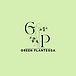 green_plantessa