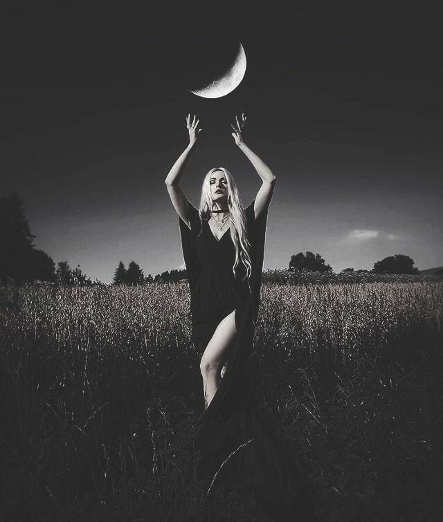 NocturnalHurricane avatar