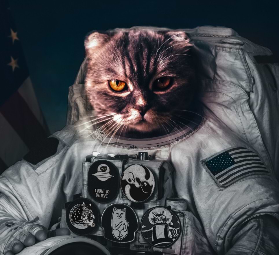 Vadim Sadovski avatar