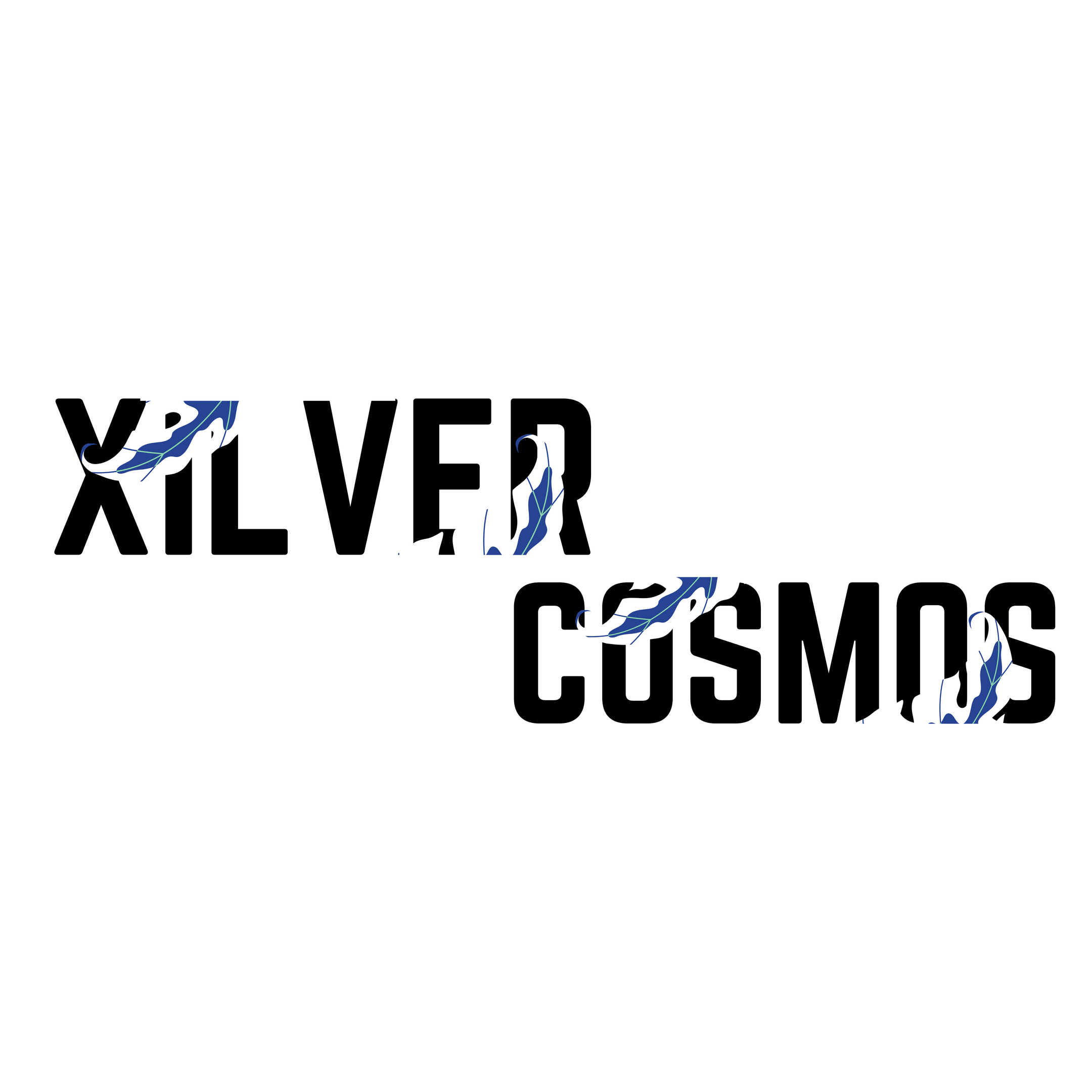 Xilver Cosmos avatar