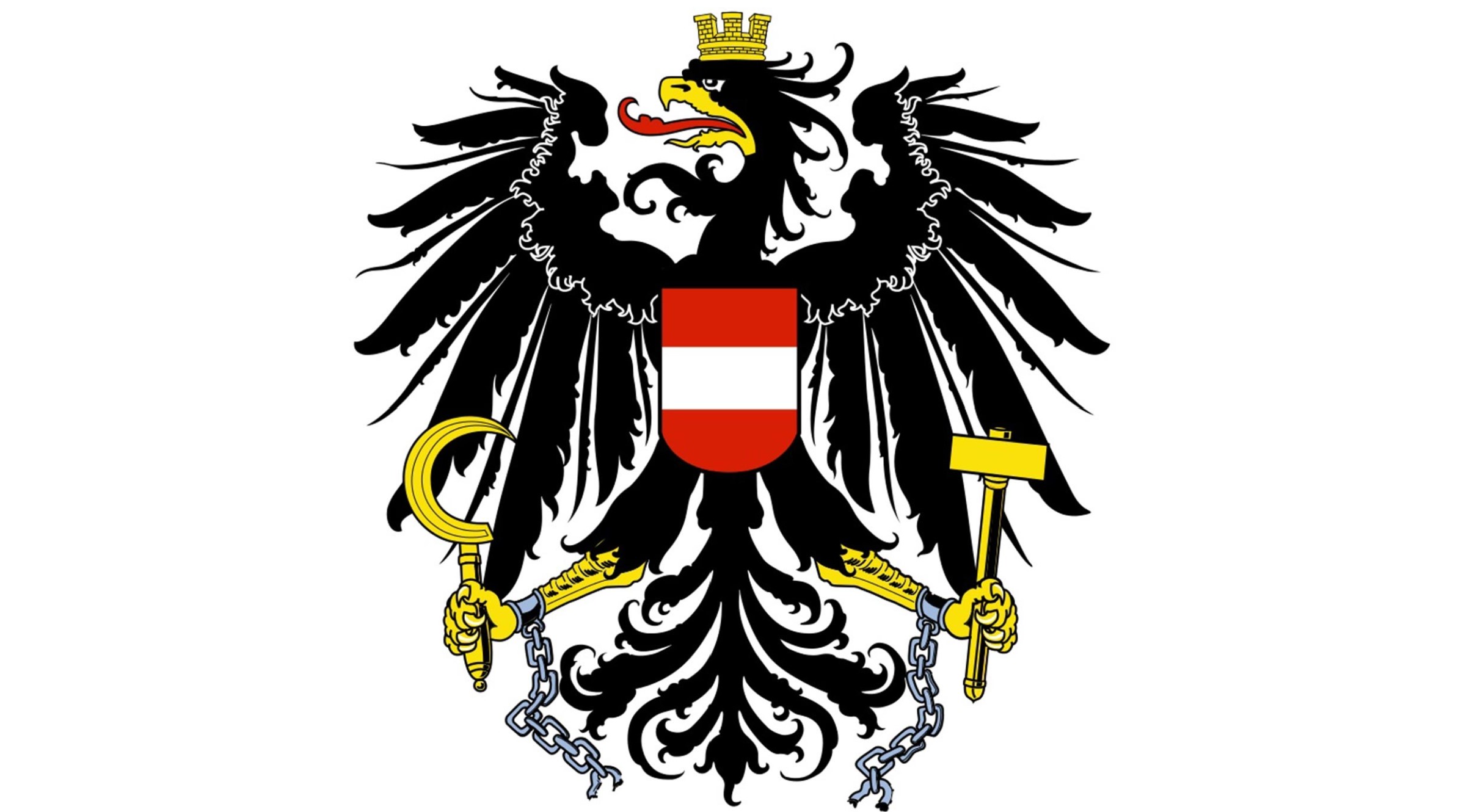 viennacyborg Angerer avatar