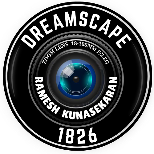 Ramesh Kunasekaran avatar