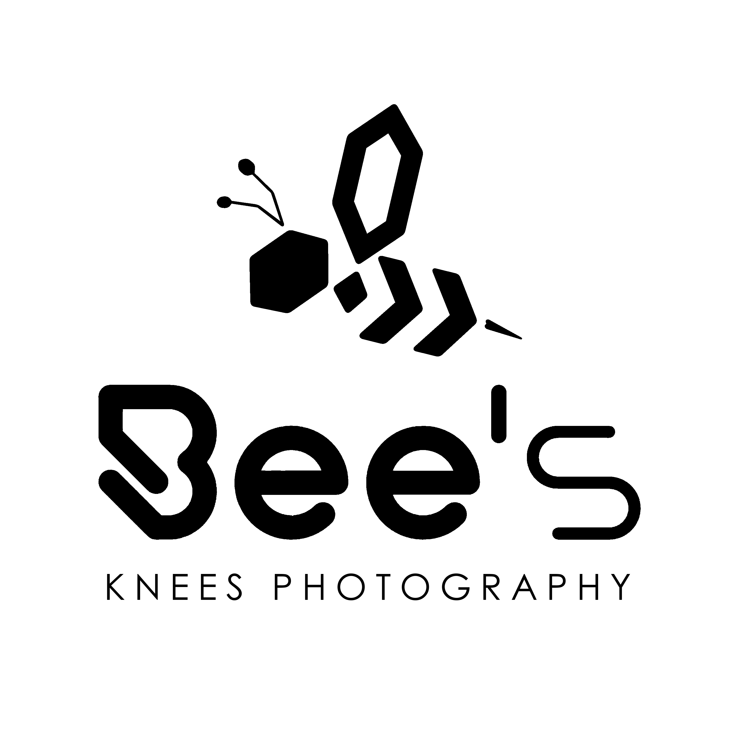 BeesKneesPhoto avatar
