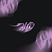 MD Photo x Design