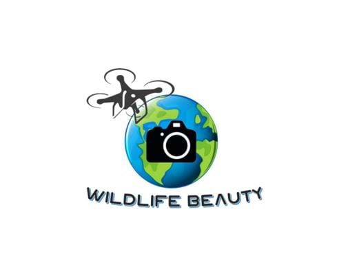 Alienor painting avatar