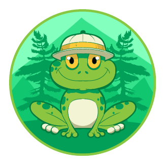 Mohammed Belabed avatar