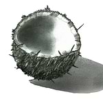 Botanical lIlustration Martina Ledermann