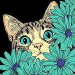 Cosmic Imaginarium Studio