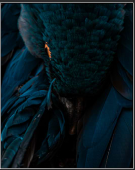 Phil_mtgn_photos avatar