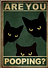 Pooping