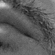 TextureVeil