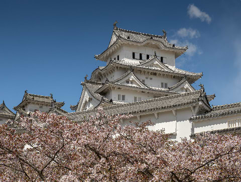 Japan_or_nothing avatar