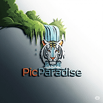 PicParadise